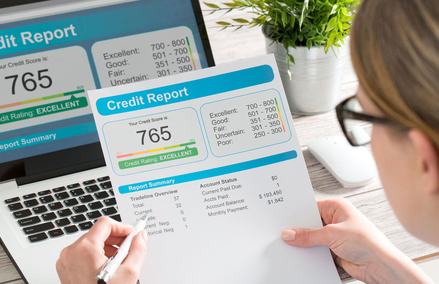 report credit score banking borrowing application risk form